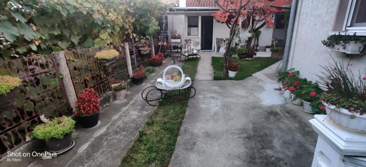 Apartman "Dom Stankovica" Pirot Exterior photo